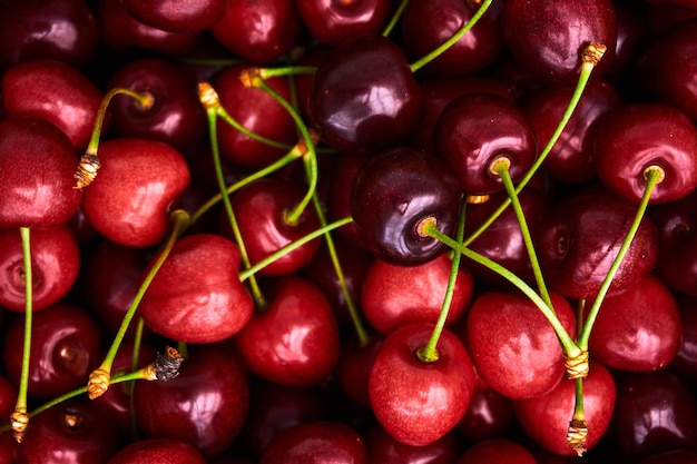 Fond de cerises cerises rouges douces