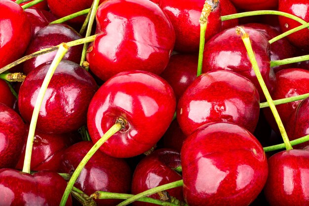 Fond de cerises rouges