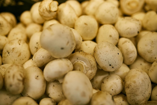 Fond de champignons entiers frais aliments sains Champignons blancs frais