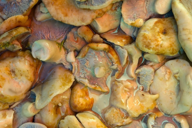 Fond de champignons marinés