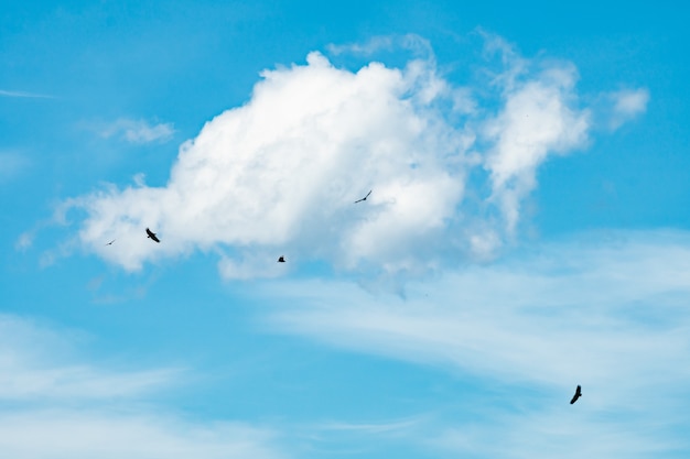 Fond de ciel bleu avec de beaux nuages