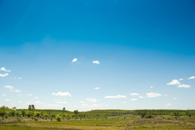 Fond de ciel bleu avec nuageux.