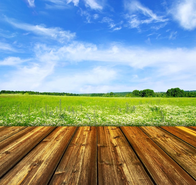 Photo fond de ciel bleu et plancher de bois