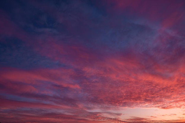 Fond de ciel bleu violet rouge coucher de soleil avec des cirrostratus bouclés duveteux du soir bon vent