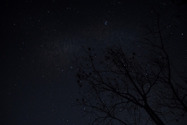 Fond de ciel et les étoiles de nuit