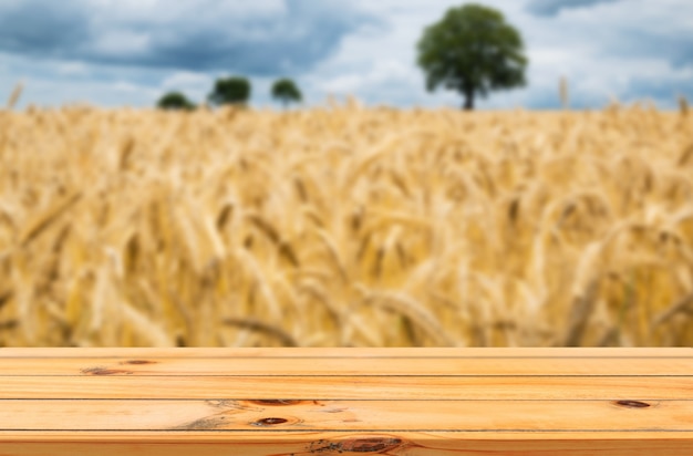 fond de ciel de ferme d'orge avec affichage de produits de table en bois