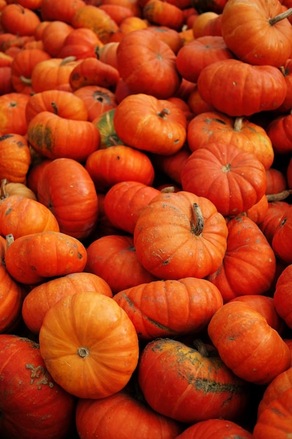 Fond de citrouille orange automne