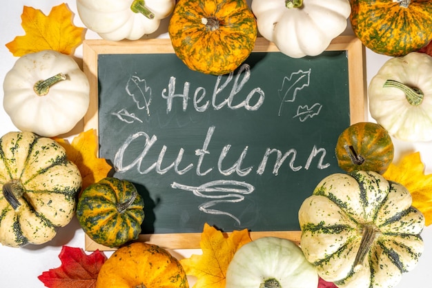 Fond de citrouilles d'automne