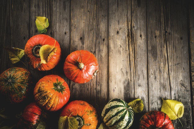 Fond de citrouilles d'automne