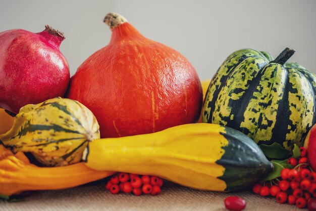 fond clair avec des légumes d'automne