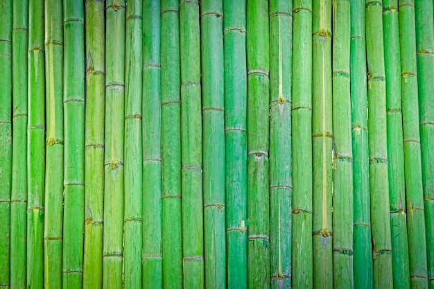 Fond de clôture en bambou vertTexture de bois de bambou pour le fond