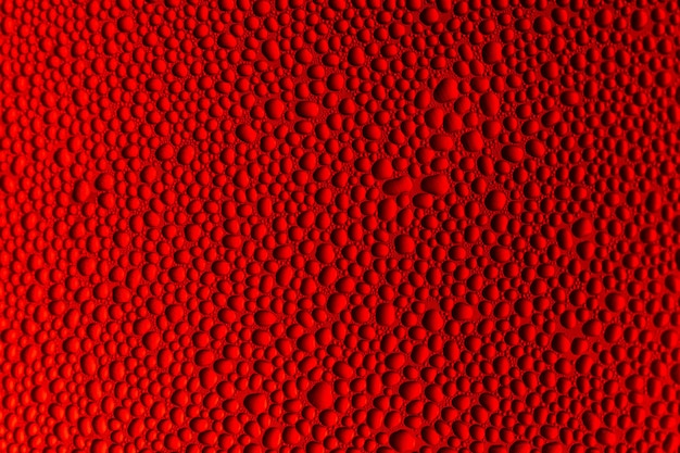 Fond coloré Goutte d'eau Abstract BackgroundsWater Drops fond sur le rouge brillant