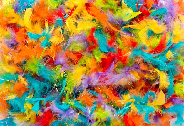 Fond coloré de plumes teintes vives