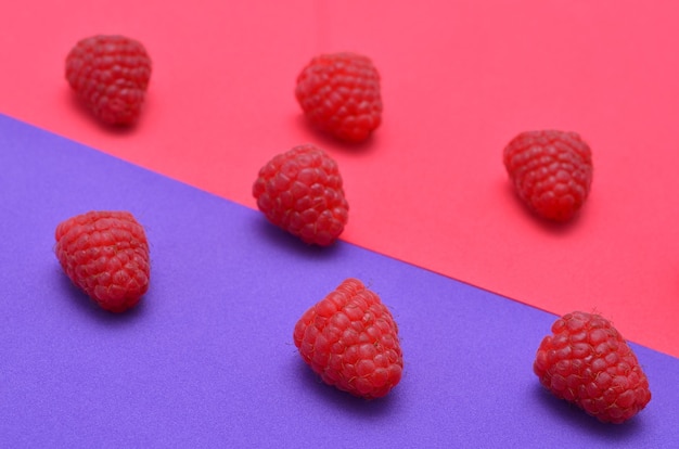 Fond coloré rose et violet avec gros plan de framboises