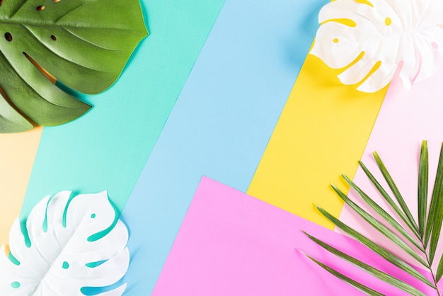 Fond coloré tropical d'été avec des feuilles de palmier et de monstera