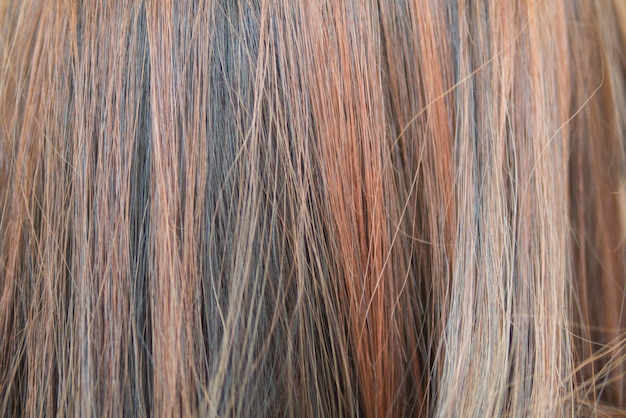 Fond de couleur de cheveux teint avec technique de surbrillance mais rend les cheveux endommagés et grossiers