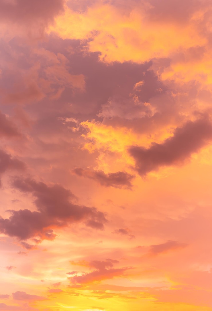 Photo fond de couleur tendance