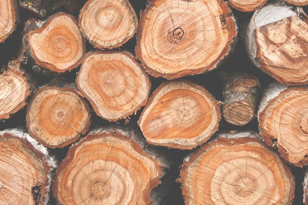 Fond de coupes en bois