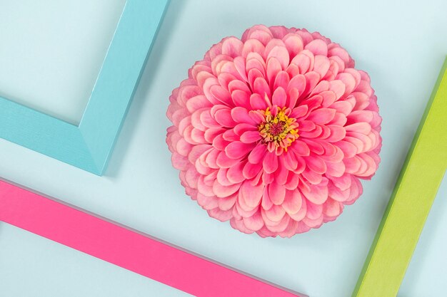 Fond créatif composé d'une fleur et de cadres de couleurs vives.