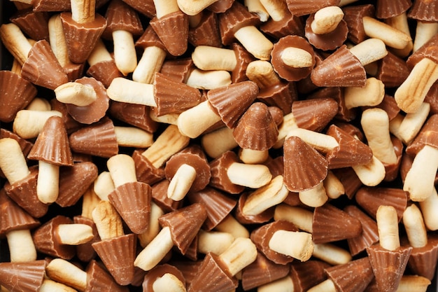 Fond de dessert Biscuits aux champignons au chocolat comme texture.