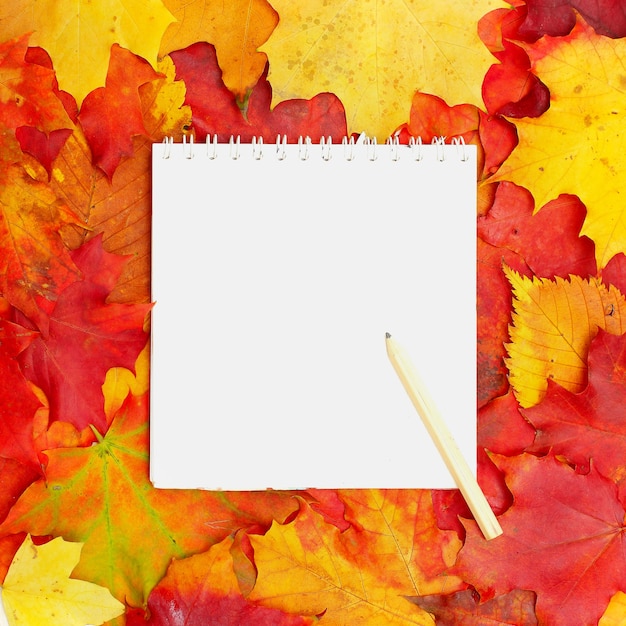 Fond avec du papier blanc et des feuilles d'automne