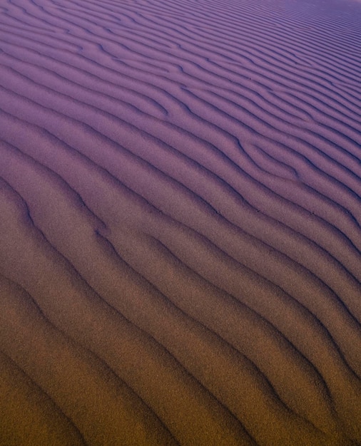 Fond de dunes