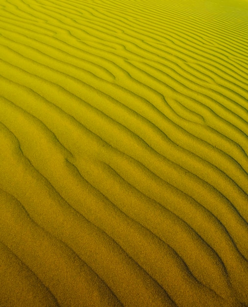 Fond de dunes