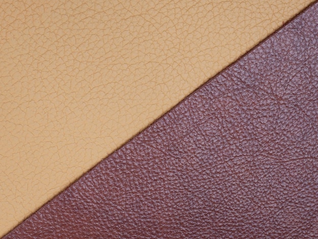 Fond d'échantillons de textures de cuir naturel de différentes couleurs