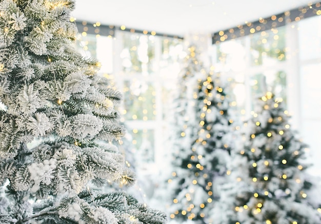 Fond d'écran Décorations et lumières de Noël sur les sapins de Noël