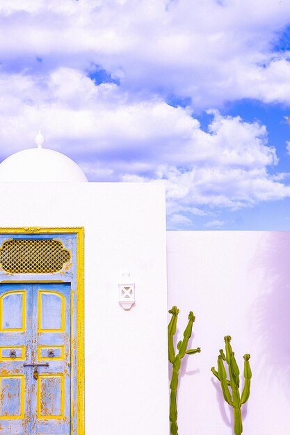 Fond d'écran de mode de plantes. Cactus sur mur blanc et ciel bleu. Conception tropicale minimale. Les vacances de voyage détendent le concept de nature. Les îles Canaries. Fuerteventura