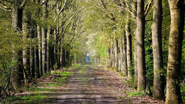 Fond d'écran nature paysage HD