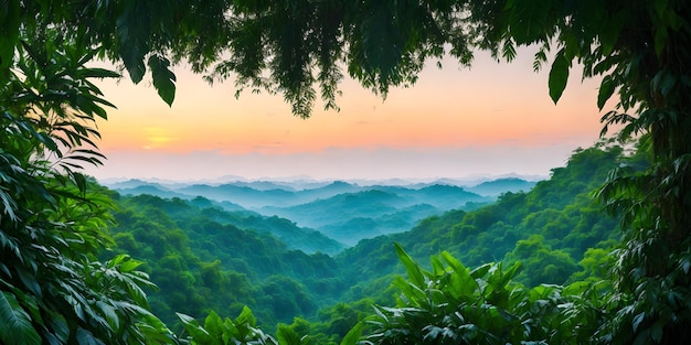 Fond d'écran avec un paysage tropical au lever du soleil Jungle avec montagnes palmiers et autres plantes sauvages Ciel avec nuages et soleil levant Illustration de la forêt tropicale Nature vierge AI générative