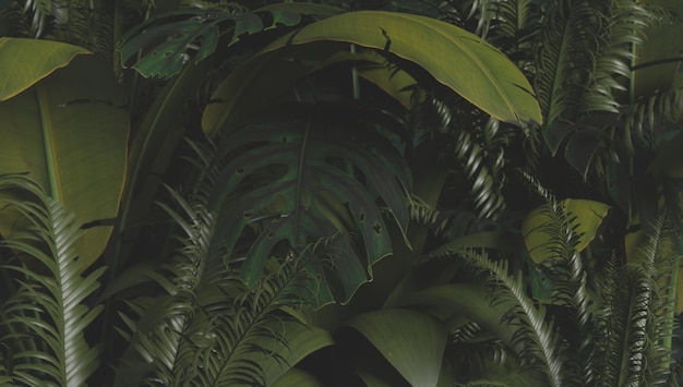 Fond d'écran de plantes tropicales dans une palette de couleurs vertes rendu d