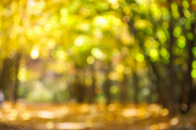 Fond estompé de la forêt dorée d'automne