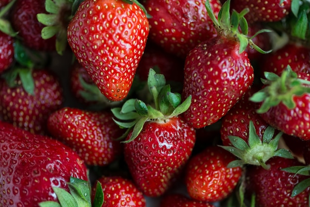 Fond d'été aux fraises rouges mûres