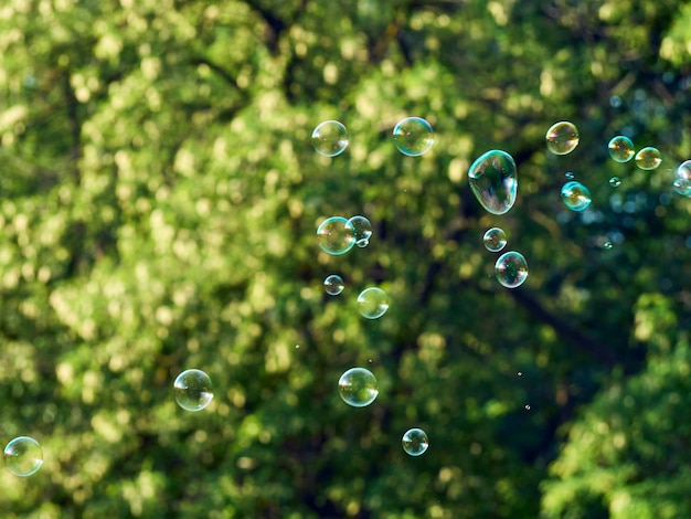 Fond d'été avec des bulles de savon lumineuses.
