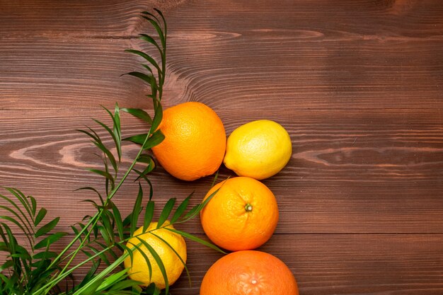 Fond d'été de citrons, d'oranges et de palmiers sur une surface en bois