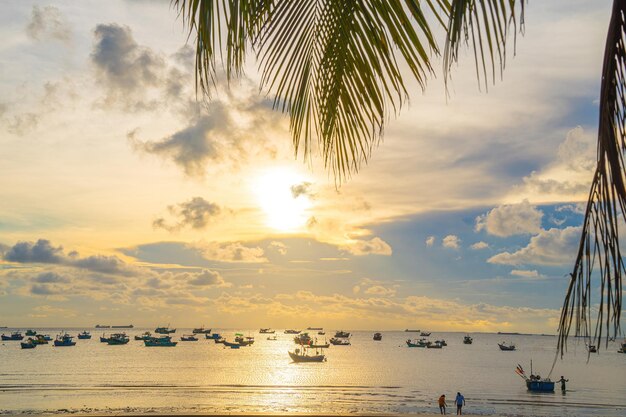 Fond d'été avec des cocotiers et des tons chauds au coucher du soleil Beau cocotier sur fond de journée ensoleillée