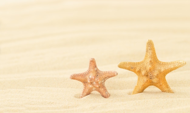 Le fond d'été avec deux étoiles de mer sur le sable