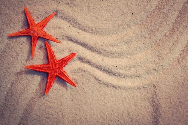 Fond d'été avec du sable de mer et des étoiles de mer