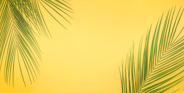 Fond d'été de feuilles de palmier sur fond jaune