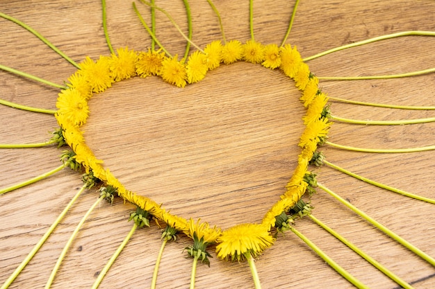 Fond d'été avec des pissenlits jaunes. Coeur de pissenlits sur un fond en bois vieilli. Pissenlits sur bois avec espace de copie