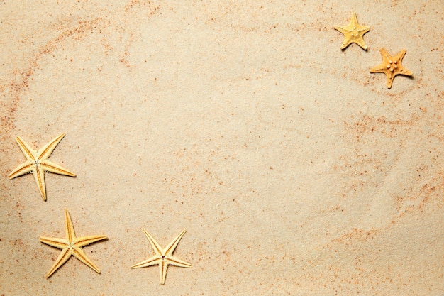 Fond d'été de sable et d'étoiles de mer avec espace de copie