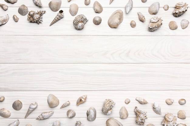 Fond d'été avec une table en bois blanc avec de nombreux coquillages.