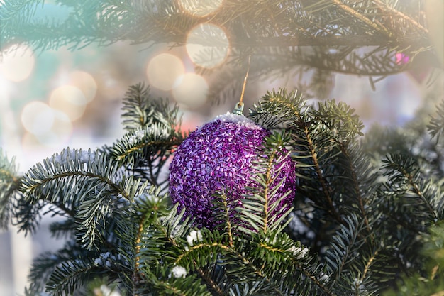 Fond extérieur de vacances de Noël ou de nouvel an avec des branches et des décorations de sapin