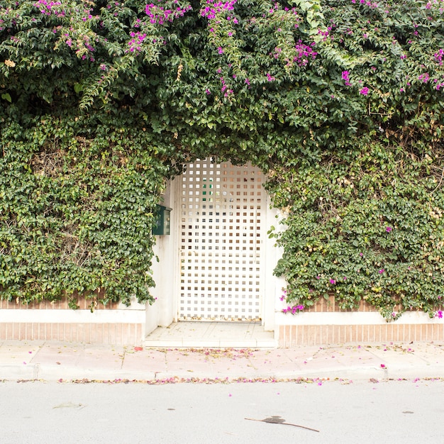 Fond de façade de clôture de jardin