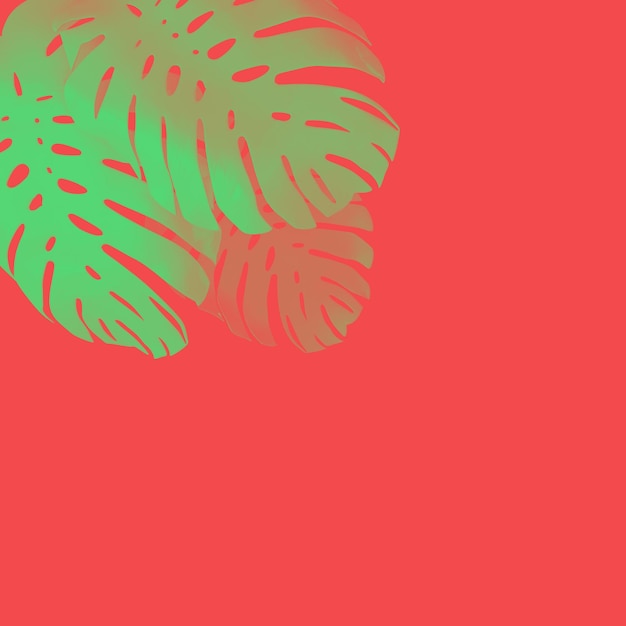 Fond de feuille de palmier tropical monstera Design coloré abstrait