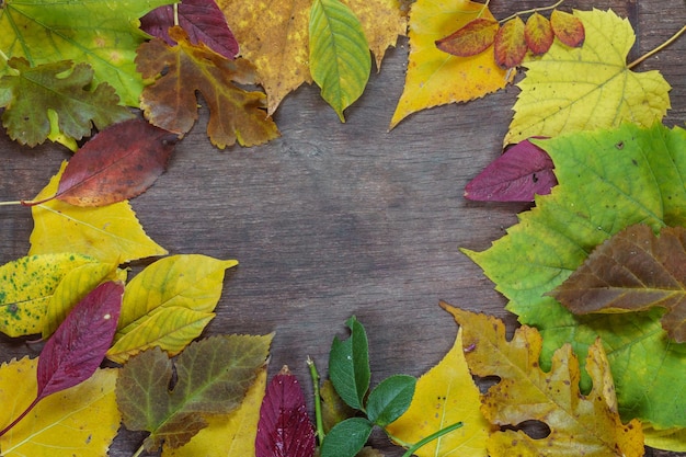 Fond de feuilles d'automne multicolores sur une surface en bois