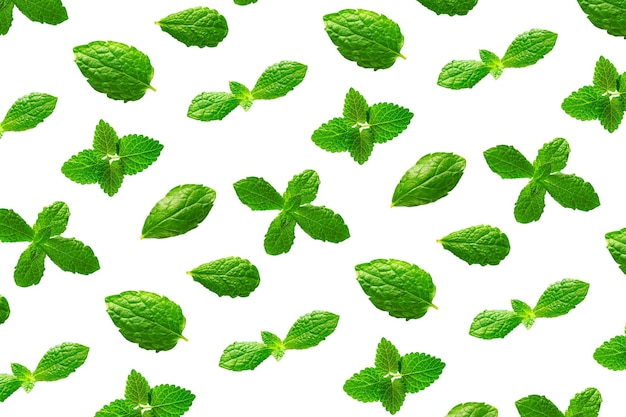 Fond de feuilles de menthe fraîche sur fond blanc