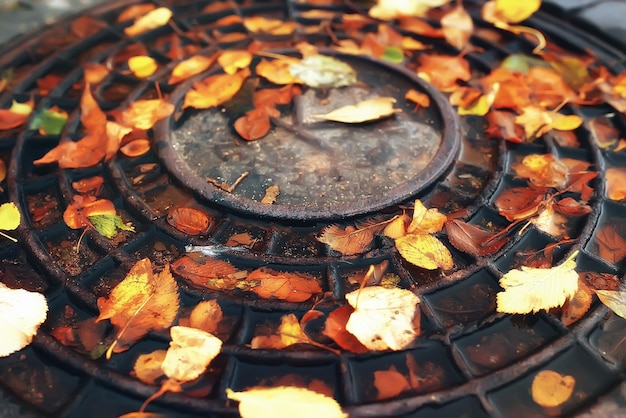 fond de feuilles tombées / feuilles d'automne tombées jaunes et oranges sur le sol dans un parc de la ville. Texture des feuilles d'automne, concept d'image automnale